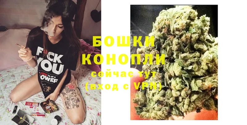 Бошки марихуана THC 21%  Барнаул 